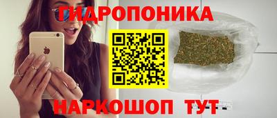 прущие крисы Малгобек