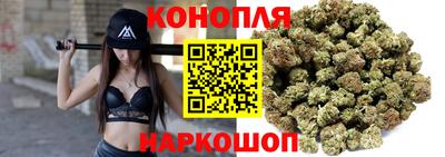 гашик Малоярославец